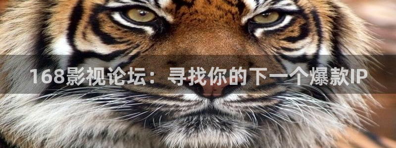 穿梭在韩国影视世界的小说