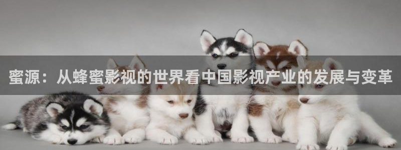 韩国影视在线免费观看