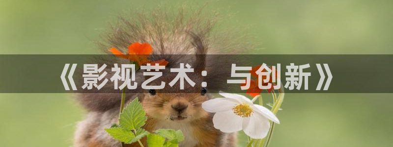 韩国影视大全