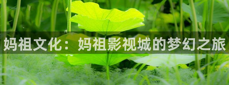 韩国影视免费观看