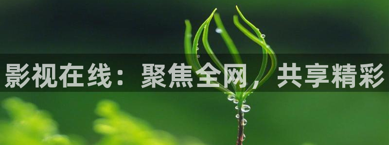 韩国影视：影视在线：聚焦全网，共享精彩