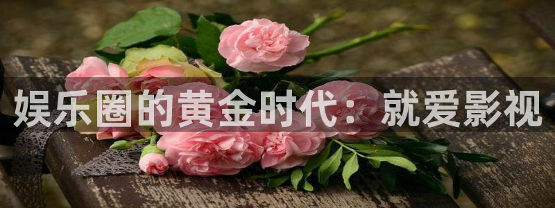 韩国影视推荐：娱乐圈的黄金时代：就爱影视
