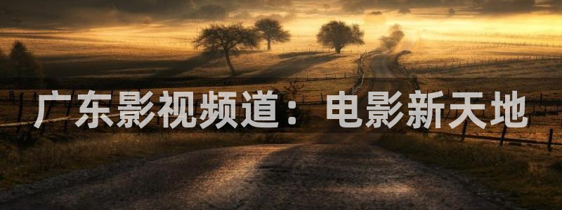 韩国影视在线免费观看