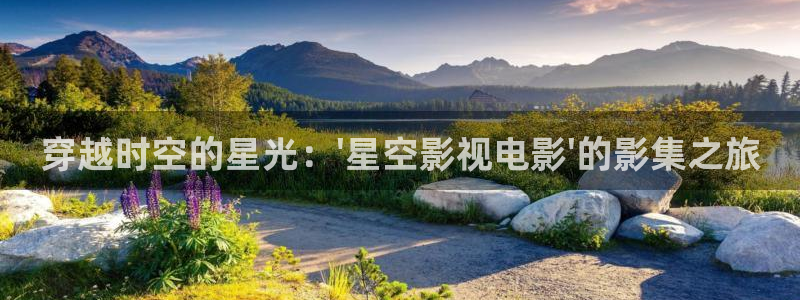 韩国影视大全