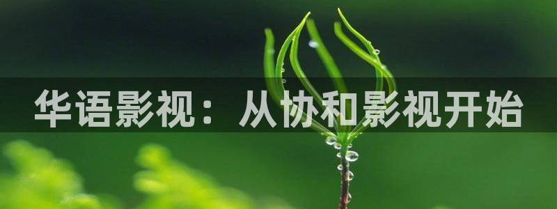 韩国影视推荐