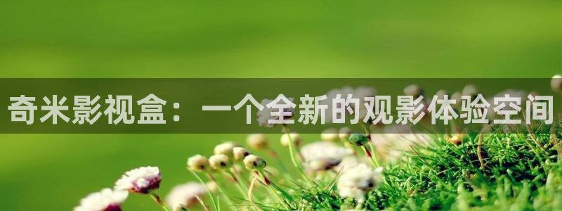 成人韩国影视