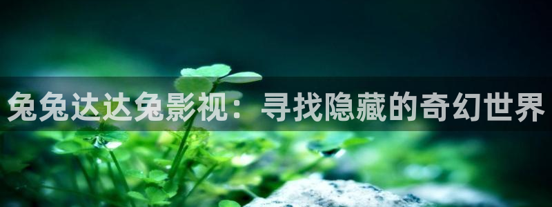 韩国影视在线免费观看