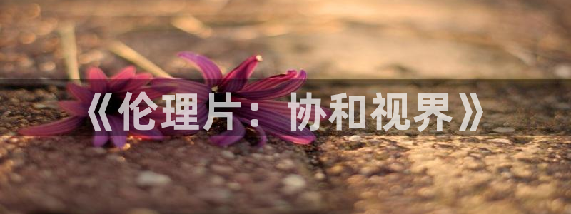 韩国影视：《伦理片：协和视界》