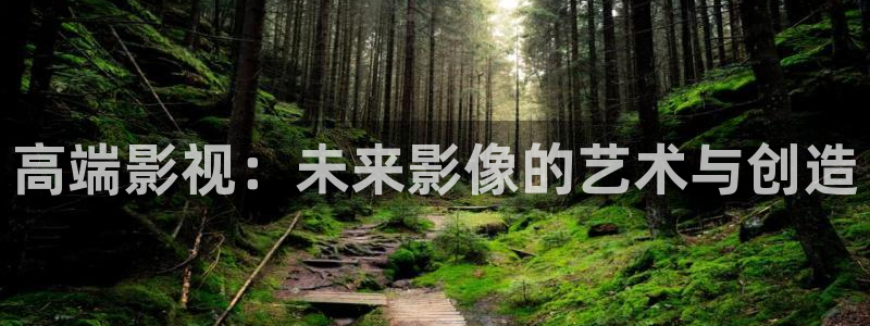 穿梭在韩国影视世界的小说：高端影视：未来影像的艺术与创造